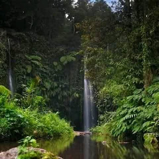 http://www.lomboksociety.my.id/2025/07/waterfall-tour-benang-kelambu.html