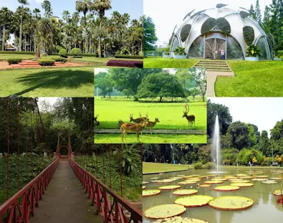 Kebun raya bogor_Tempat wisata bogor hits