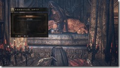 DarkSoulsIII 2017-07-30 21-32-08-11