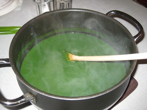 2011-04-21 Neslesuppe (11)