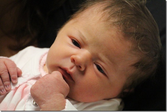 Kate Kellye day 2 104