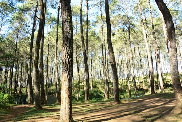 Tempat Outbound di Lembang Bandung