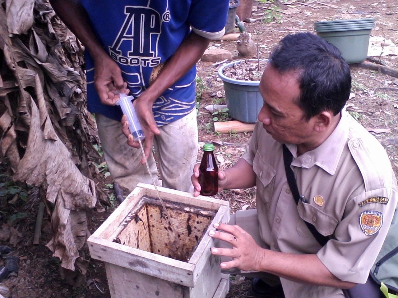 Balai Penyuluhan Kapar PEMBINAAN PETANI BUDIDAYA LEBAH 