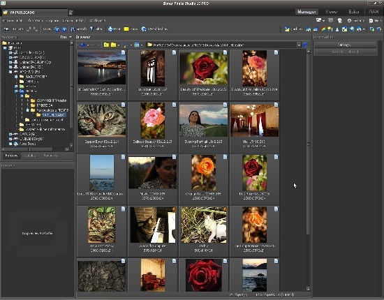 Hiperia3d News Zoner Photo Studio 13 Pro