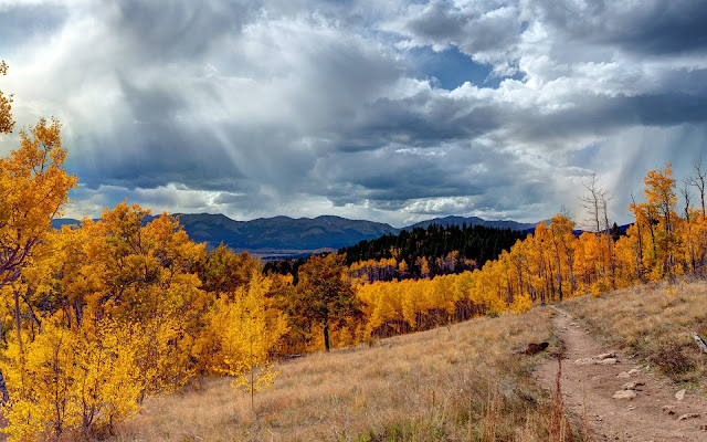 Aspen Trail