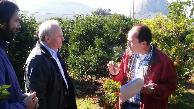 Συνάντηση Ανδριανού με παραγωγούς μανταρινιών ποικιλίας κλημεντίνη και επίσκεψη σε πληγείσες περιοχές της Αργολίδας.
