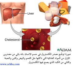 مخاطر الدهون