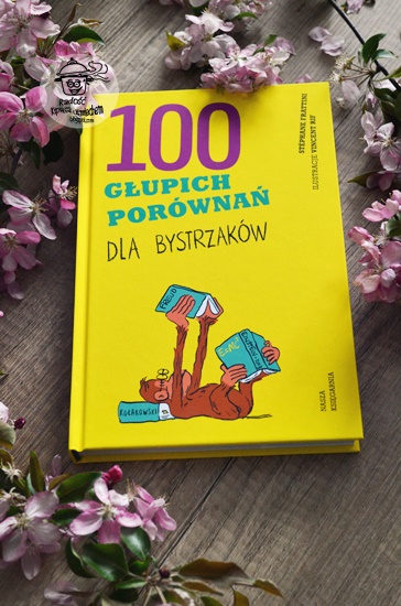 100 głupich porównań dla bystrzaków, Stephane Frattini - recenzja książki.