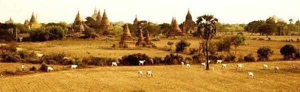မသက္ဇင္