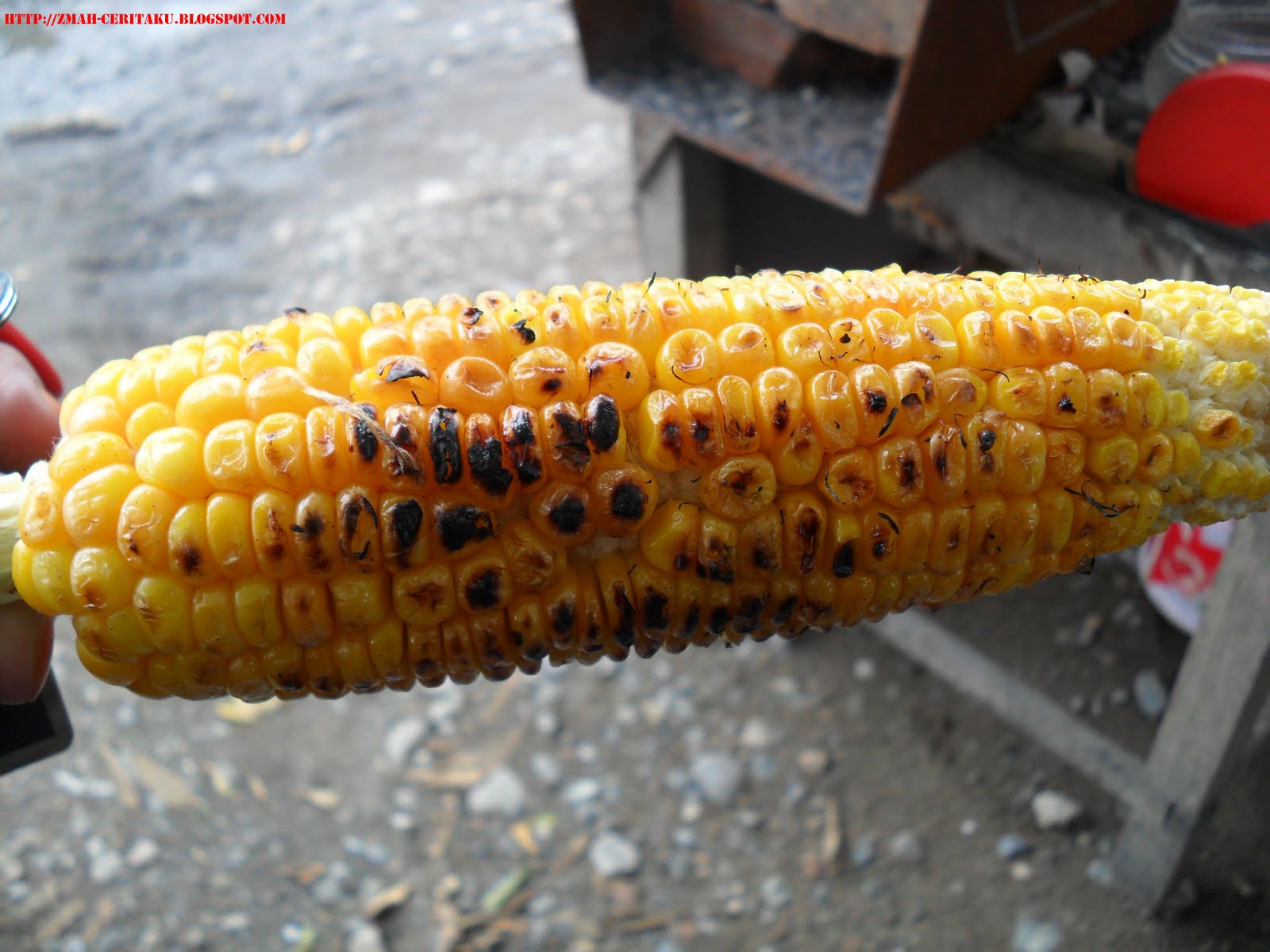 Medan to Banda Aceh Part 6 Menu Jagung bakar Day 1 