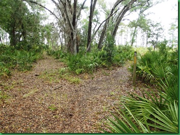 Pat's Island Trail 029
