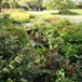 View album
