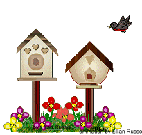 casa_pasarinho