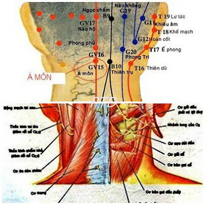 Một số đặc điểm cần thiết trong châm cứu