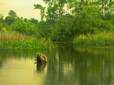 Nature Wallpapers part 4 wallpapers of nature. Nature Wallpapers part 4