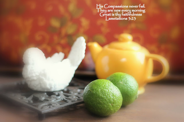 Limes, Beautiful Dove, Living From Glory To Glory Blog...