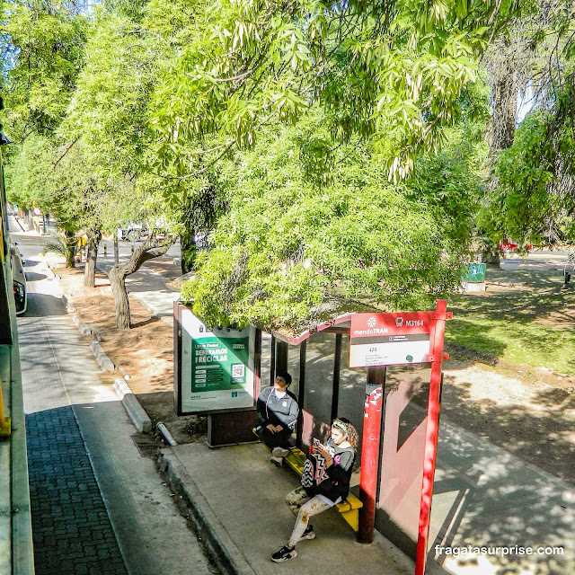 Parada de ôninus em Mendoza, Argentina