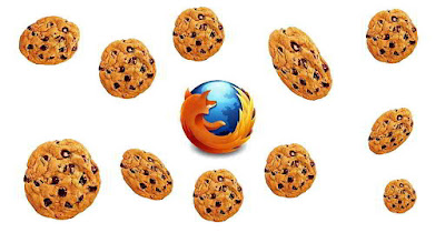 Come rimuovere i cookie di Firefox dal computer