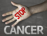 Image result for mencegah kanker