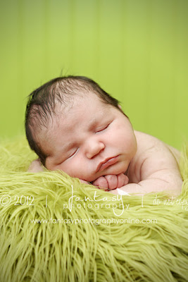 newborn photographers in winston salem | triad newborn photographer
