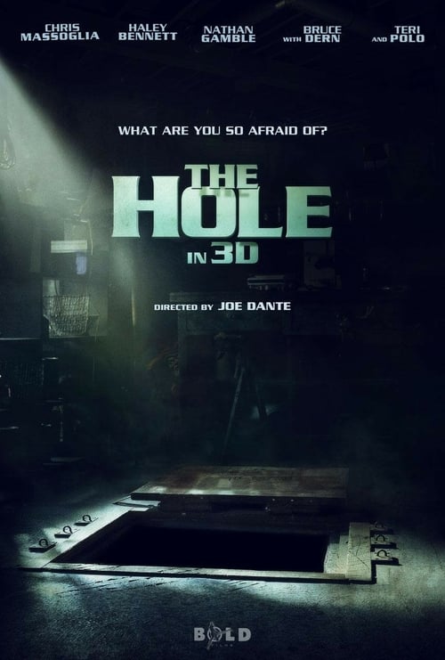 Watch The Hole 2009 Full Movie With English Subtitles