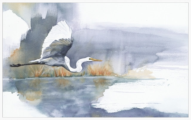 birds watercolor paintings