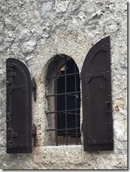 IMG_8390