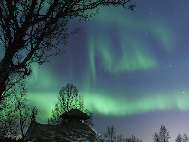 Aurora Boreanl en Tromso, norte de Noruega por Monica Poza
