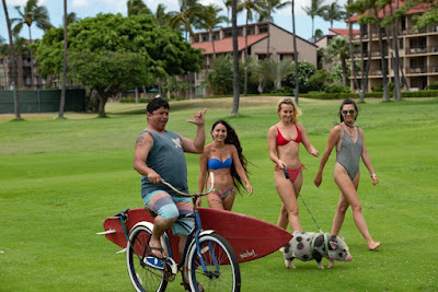 Aloha Surf Hotel New On Dvd And Bluray