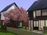 Machiya-Backyard.jpg