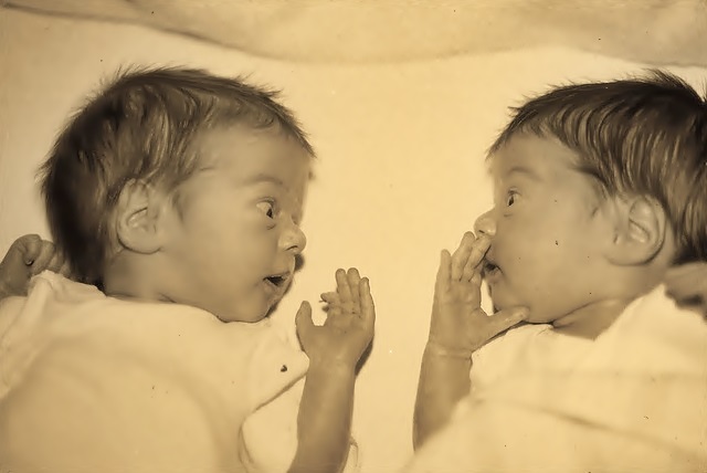 twin baby photos