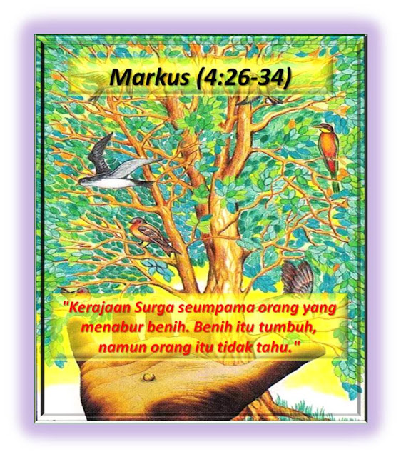  MARKUS  4:26-34