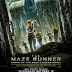 Movie Review - The Maze Runner