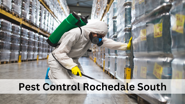 Pest Control Rochedale South