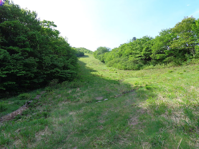 大山国際スキー場に登ります