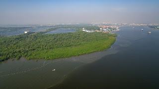 Environment