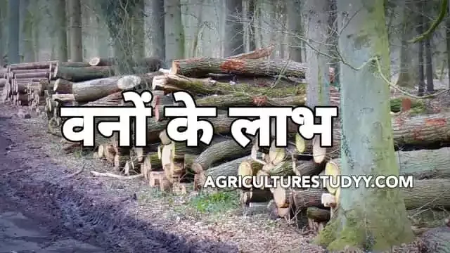वनों के लाभ ( Benefits of forest in hindi )