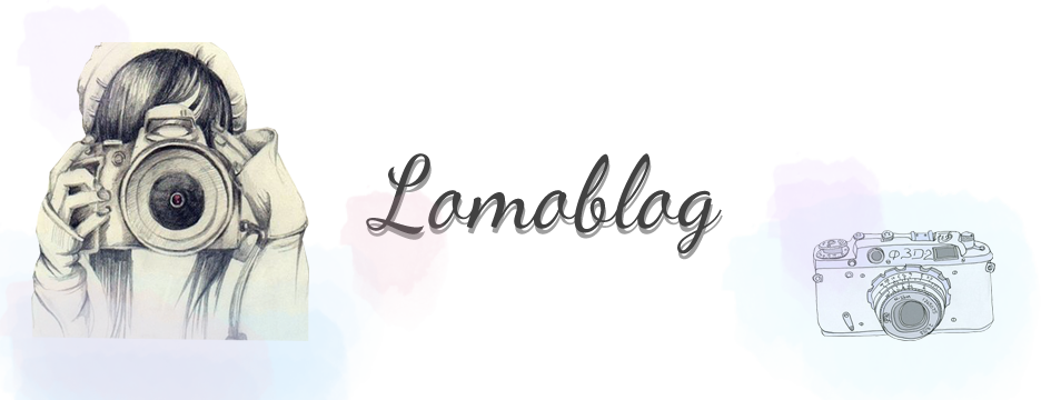 Lomoblog