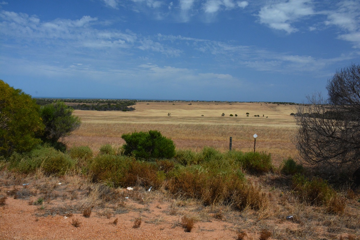 DSC 9400