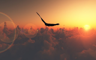 птица летит в небе