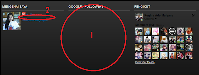 Widget Google Plus yang Tidak Muncul