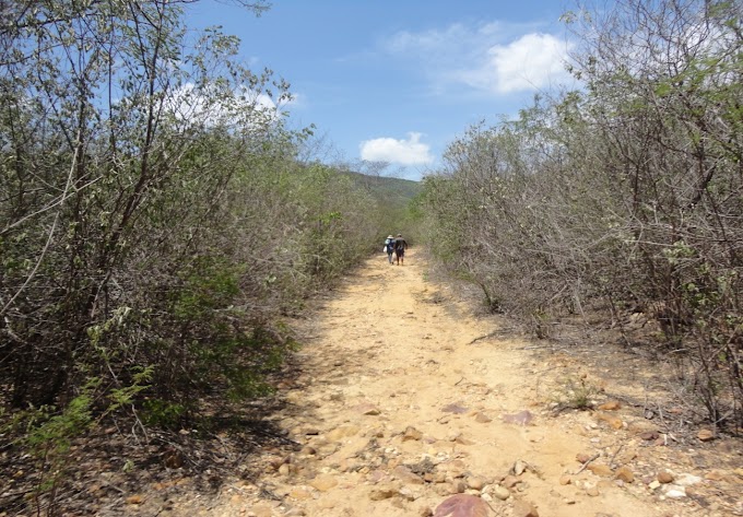 CHCTPLA - Viagem a Viçosa