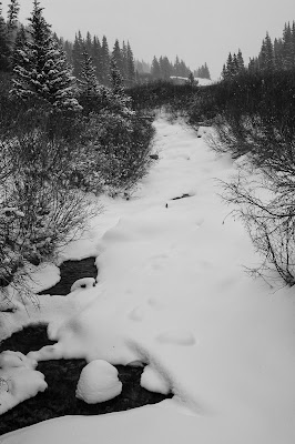 Mayflower Gulch