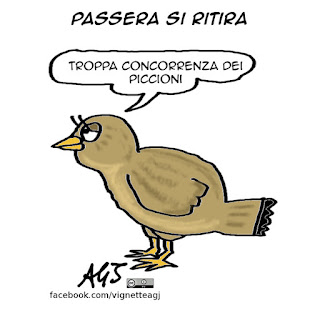 passera, elezioni milano, satira, vignetta