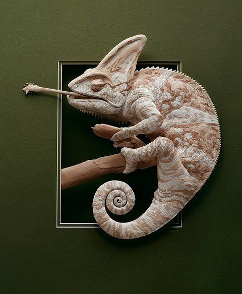 Amazing and Beautiful Paper Sculpture By Canadian Artist "Calvin Nicholls"