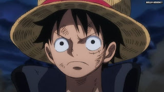 ワンピースアニメ 1016話 ルフィ かっこいい Monkey D. Luffy | ONE PIECE Episode 1016