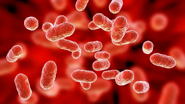 Quantas bactérias vivem no corpo humano?