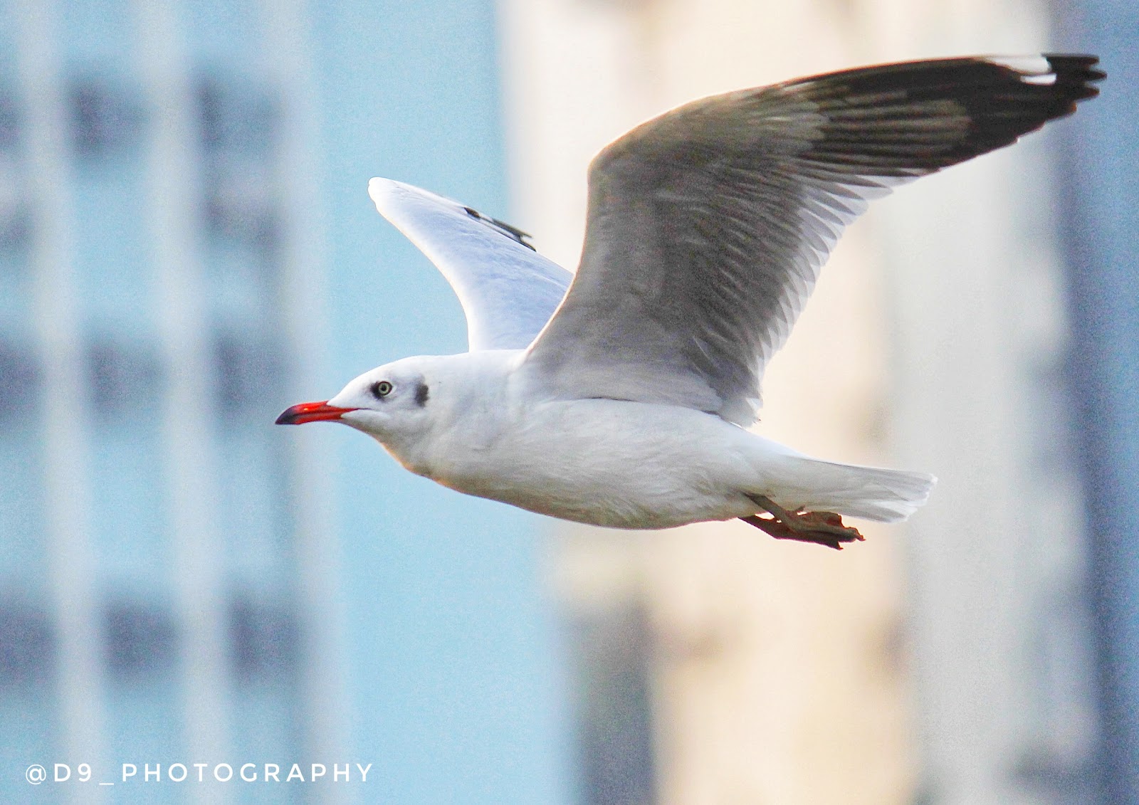 high shutter speed photography