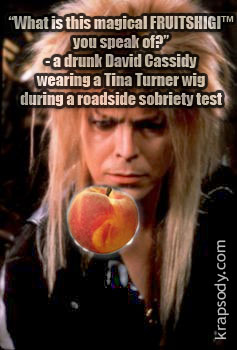 David Bowie and David Cassidy love FRUITSHIGI and COCAINE!!!
