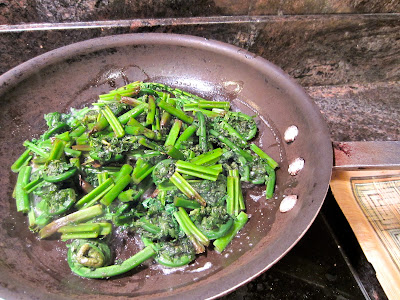 lady fern fiddleheads, fiddlehead fern scientific name, where do fiddleheads grow, fiddlehead fern recipe, edible ferns, fuzzy fiddleheads, poisonous fiddleheads, fiddlehead fern taste,